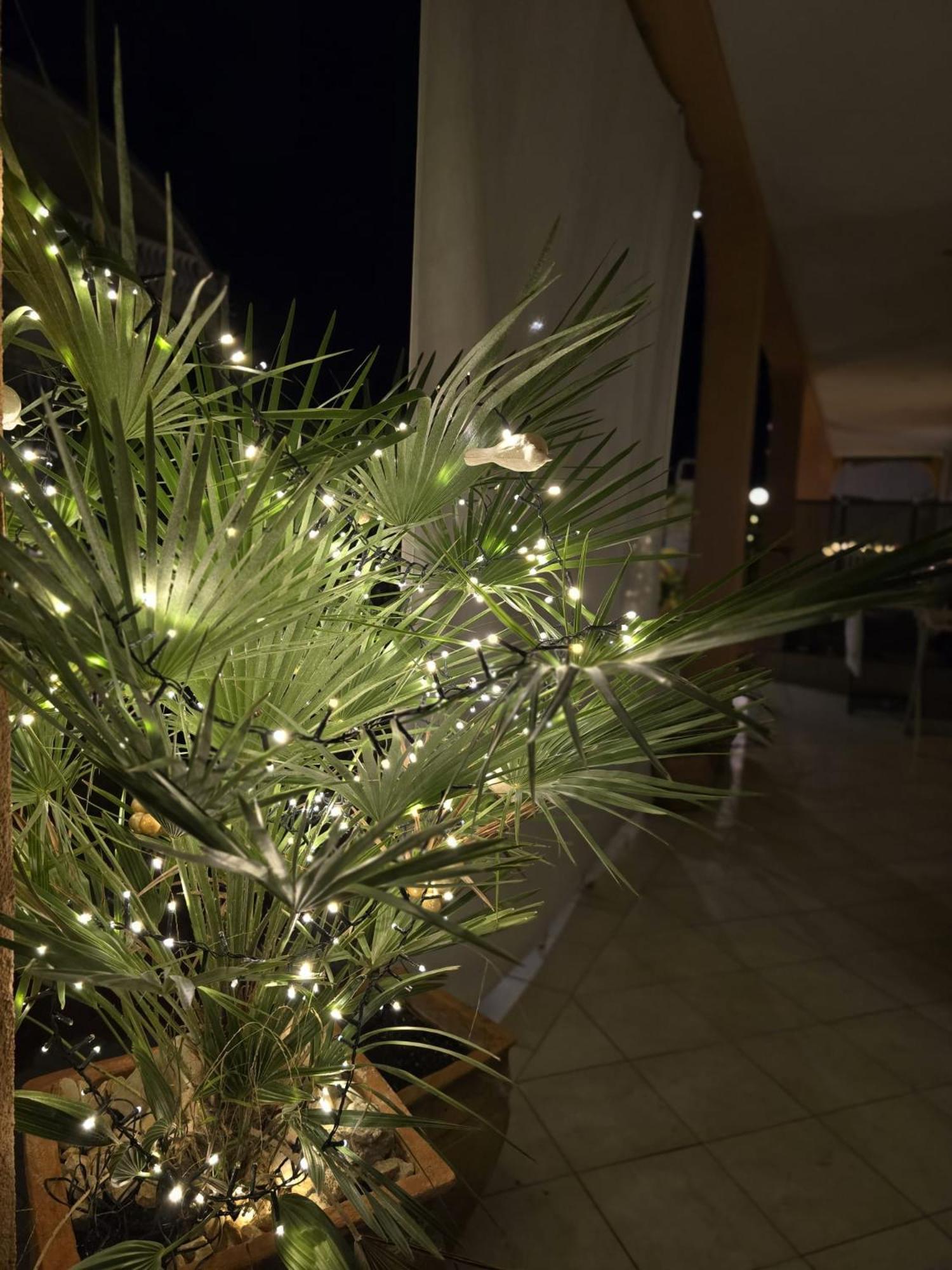 Apartment Melani Vir Εξωτερικό φωτογραφία